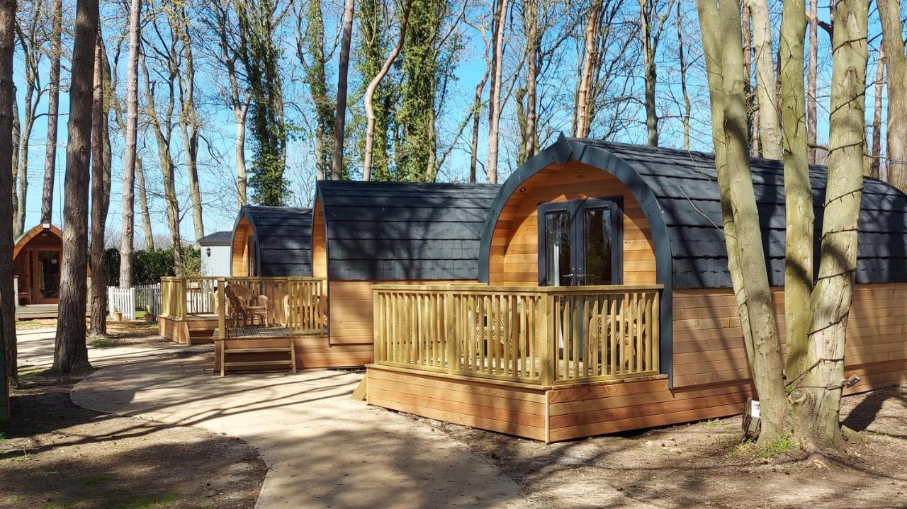 Pinewood - At Port Lympne Reserve Hythe  Exterior photo